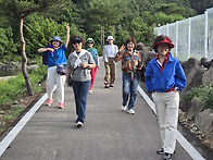 2026.06.21 홍천 용호강변 새벽산책
