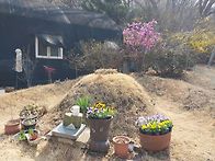 당신산소에 꽃동산을 만들..