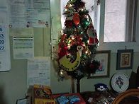 당신산소에 남천을 심고