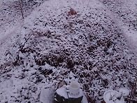 두번째 눈이 내리고