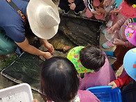 월선리 샛강에 사..