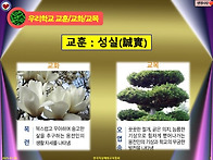 대전용전중 3학년..