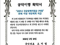 국민대표