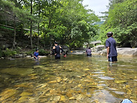 7월 정라 용추계곡 후기 ..