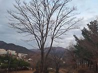 노인의 기막힌 사랑