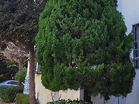 대한민국은 천국이다