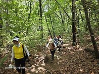 145정기 트래킹 관악산무너미