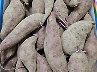 2025.12.09 배귀녀 어르신..