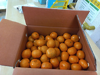 2026.1.28 신경이 어르신..