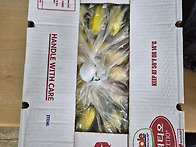 2025.09.24 박문한 어르신..