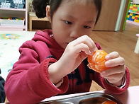 2월3일 활동모습