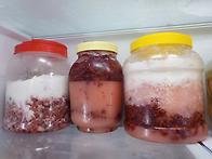 산딸기 효소