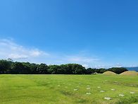 경주시티투어/경주버스대절..