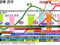 3월 셋째 주 찬란..