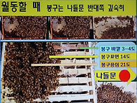 꿀벌 스스로는 어..