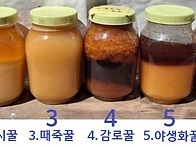 꿀 효소의 함량(..