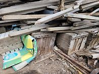 최근 분봉된 토봉..