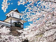 봄나들이~아름다운 가나자와(金沢..