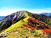 [출발확정] 단풍절경! 백대명산 쓰루기산(..