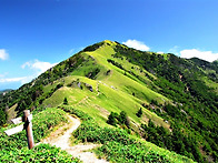 신록예찬! 백대명산 쓰루기산(劍山) 트레킹..