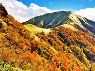 단풍절경! 만추의 쓰루기산(劍山 1995m)..