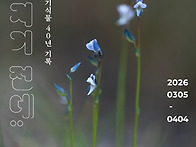 사진전 안내: ＜사라지기 ..