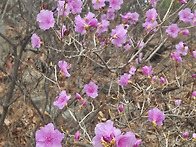 2026.03.24 사순시기 새벽..