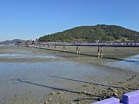 25년11월15일 신안퍼플섬