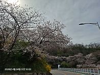 목포 케이블카 고화도 유달..
