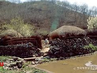 그럼에도, 고향땅..