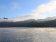 남이섬[2025.10.28(화)