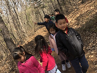 숲활동