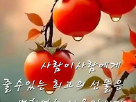 유리창 너머로 본..