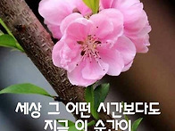 공감이야기