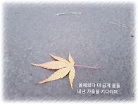 어쩌지요...가을이..