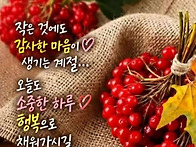 세상사는 맛