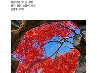 강한 자신감을 가..