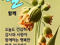 사람 냄새 나는 ..