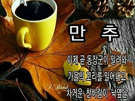 가끔은 어리석게 ..