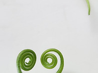 25.10.11.호박잎에 사랑의..