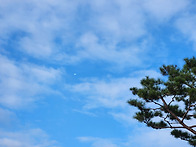 25.10.12.군립도서관에서 ..