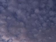 25.8.하늘을 보는 이유