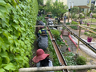 4. 정원 작업&#..