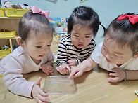 달님반 활동사진입니다 ~..