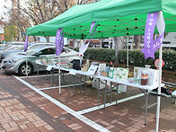 2025년 12월 14일(주일) 젊은이들의 플리마..