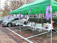 2025년 12월 14일(주일)..