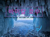 [예약가능] (구정..