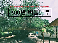 [알틴-네멜 국립공..