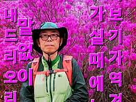 진달래꽃