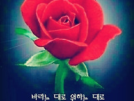 향기 나는 5월